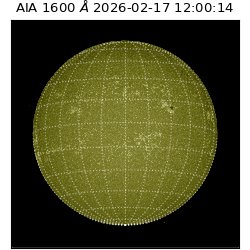saia - 2026-02-17T12:00:14.126000