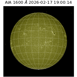 saia - 2026-02-17T19:00:14.121000