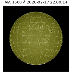 saia - 2026-02-17T22:00:14.117000