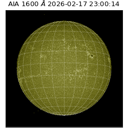 saia - 2026-02-17T23:00:14.125000