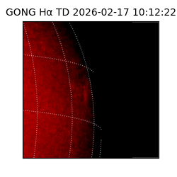 gong - 2026-02-17T10:12:22