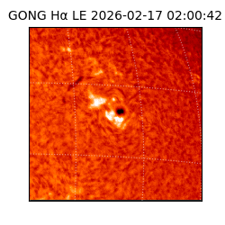 gong - 2026-02-17T02:00:42
