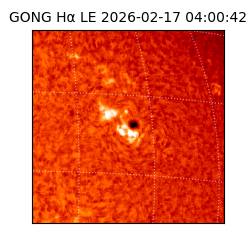 gong - 2026-02-17T04:00:42
