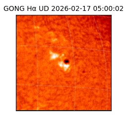 gong - 2026-02-17T05:00:02