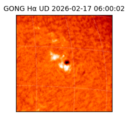 gong - 2026-02-17T06:00:02