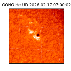 gong - 2026-02-17T07:00:02