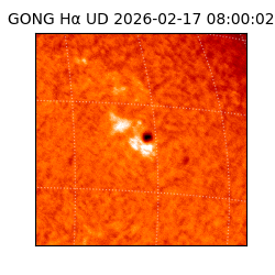 gong - 2026-02-17T08:00:02
