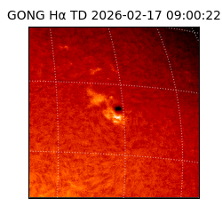 gong - 2026-02-17T09:00:22