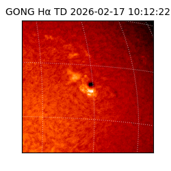gong - 2026-02-17T10:12:22