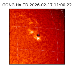 gong - 2026-02-17T11:00:22