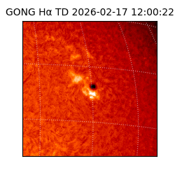 gong - 2026-02-17T12:00:22