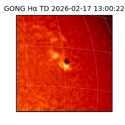 gong - 2026-02-17T13:00:22