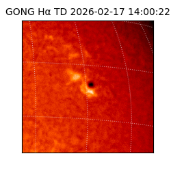 gong - 2026-02-17T14:00:22