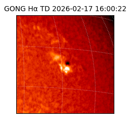 gong - 2026-02-17T16:00:22