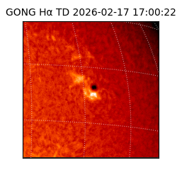 gong - 2026-02-17T17:00:22