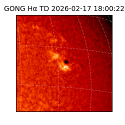 gong - 2026-02-17T18:00:22