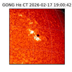 gong - 2026-02-17T19:00:42