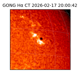 gong - 2026-02-17T20:00:42