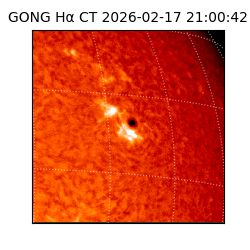 gong - 2026-02-17T21:00:42