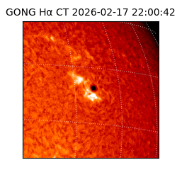 gong - 2026-02-17T22:00:42