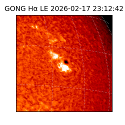 gong - 2026-02-17T23:12:42