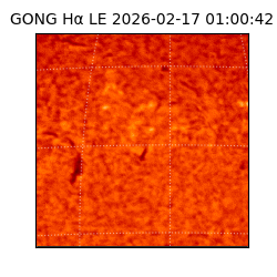 gong - 2026-02-17T01:00:42