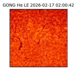 gong - 2026-02-17T02:00:42