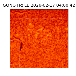 gong - 2026-02-17T04:00:42