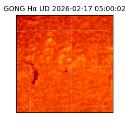 gong - 2026-02-17T05:00:02