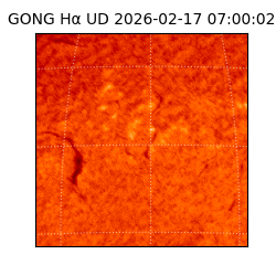 gong - 2026-02-17T07:00:02