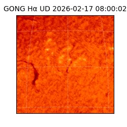 gong - 2026-02-17T08:00:02