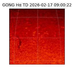 gong - 2026-02-17T09:00:22