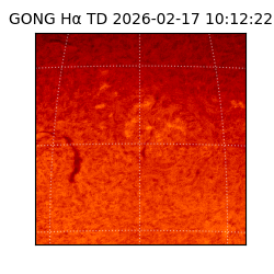 gong - 2026-02-17T10:12:22