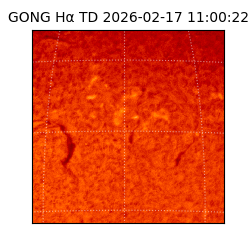 gong - 2026-02-17T11:00:22