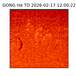 gong - 2026-02-17T12:00:22