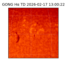 gong - 2026-02-17T13:00:22