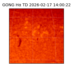 gong - 2026-02-17T14:00:22