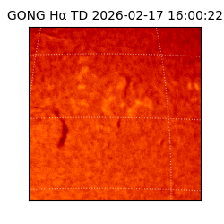 gong - 2026-02-17T16:00:22