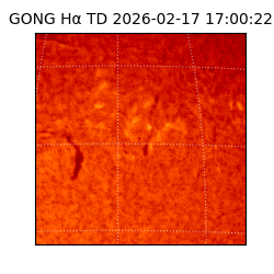 gong - 2026-02-17T17:00:22