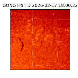 gong - 2026-02-17T18:00:22