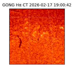 gong - 2026-02-17T19:00:42