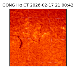 gong - 2026-02-17T21:00:42
