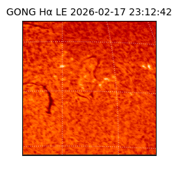 gong - 2026-02-17T23:12:42