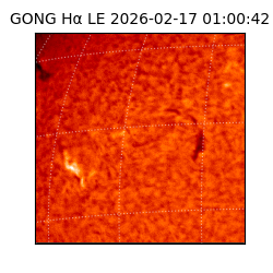 gong - 2026-02-17T01:00:42