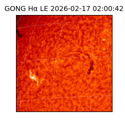 gong - 2026-02-17T02:00:42