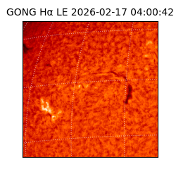 gong - 2026-02-17T04:00:42