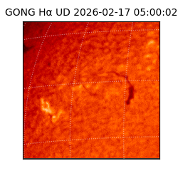 gong - 2026-02-17T05:00:02