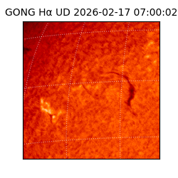 gong - 2026-02-17T07:00:02