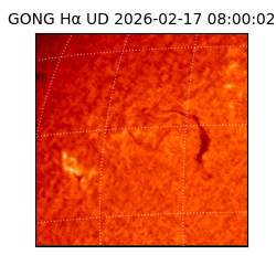 gong - 2026-02-17T08:00:02