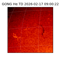 gong - 2026-02-17T09:00:22